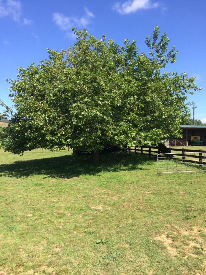 Hunua Ranges Exterior foto